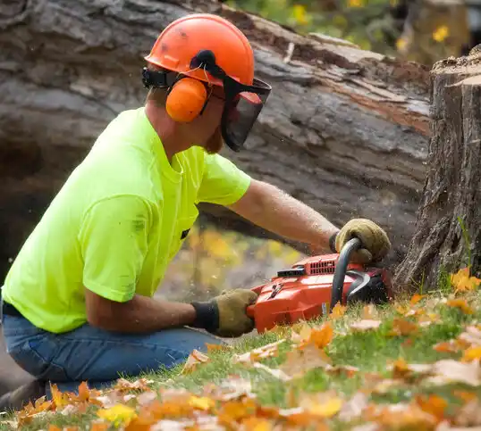 tree services Tarkio